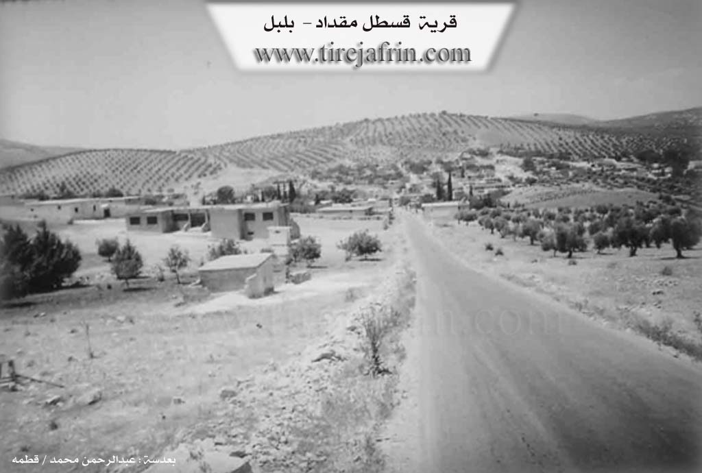 Photo of Qestelê Miqdêd
